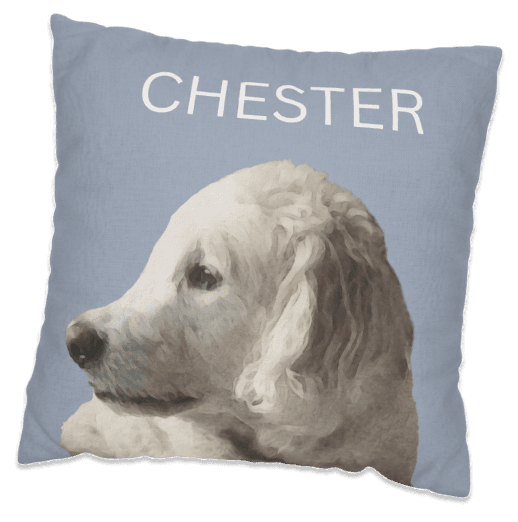 FurEverHugs keepsake portrait pillow printed with a pet photo