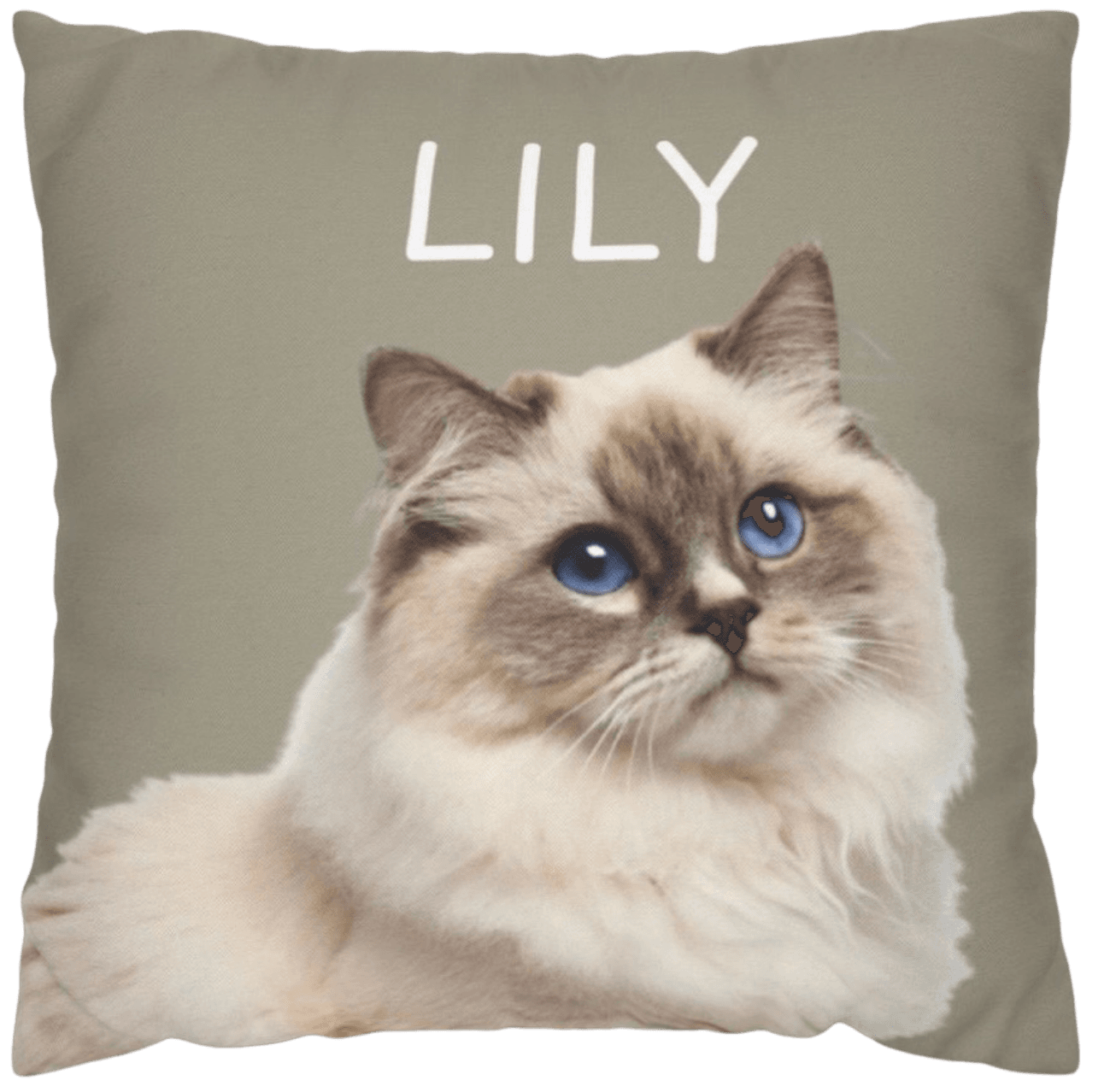 Lily
