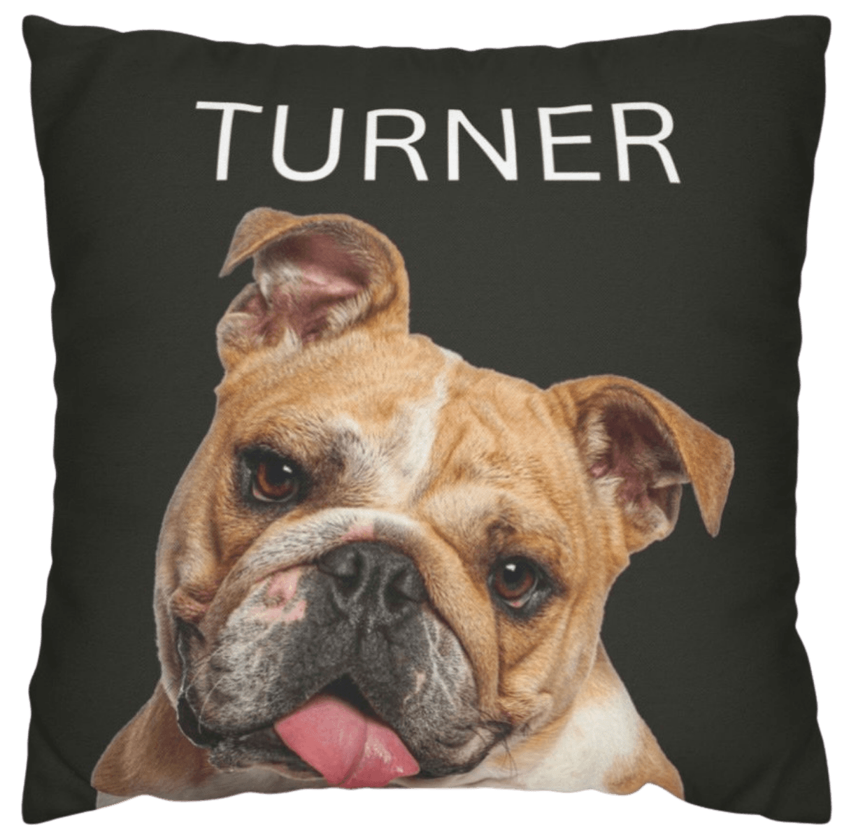 Turner